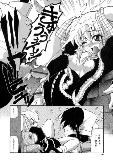 [Kikkawa Kabao] Panicle Chronicle Fhentai - Page 37