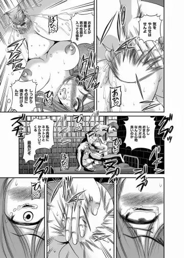 COMIC Magnum Vol. 20 Fhentai - Page 17