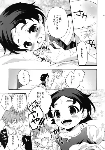 [Maple] TNP tte nani? Fhentai - Page 29