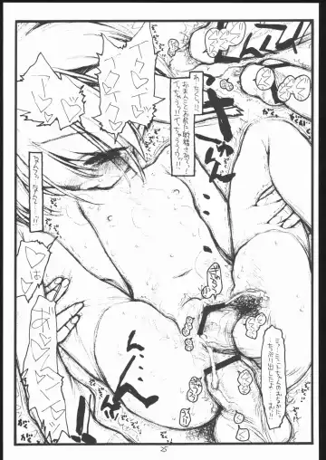 [Rit.] Mint-Erotic Fhentai - Page 24