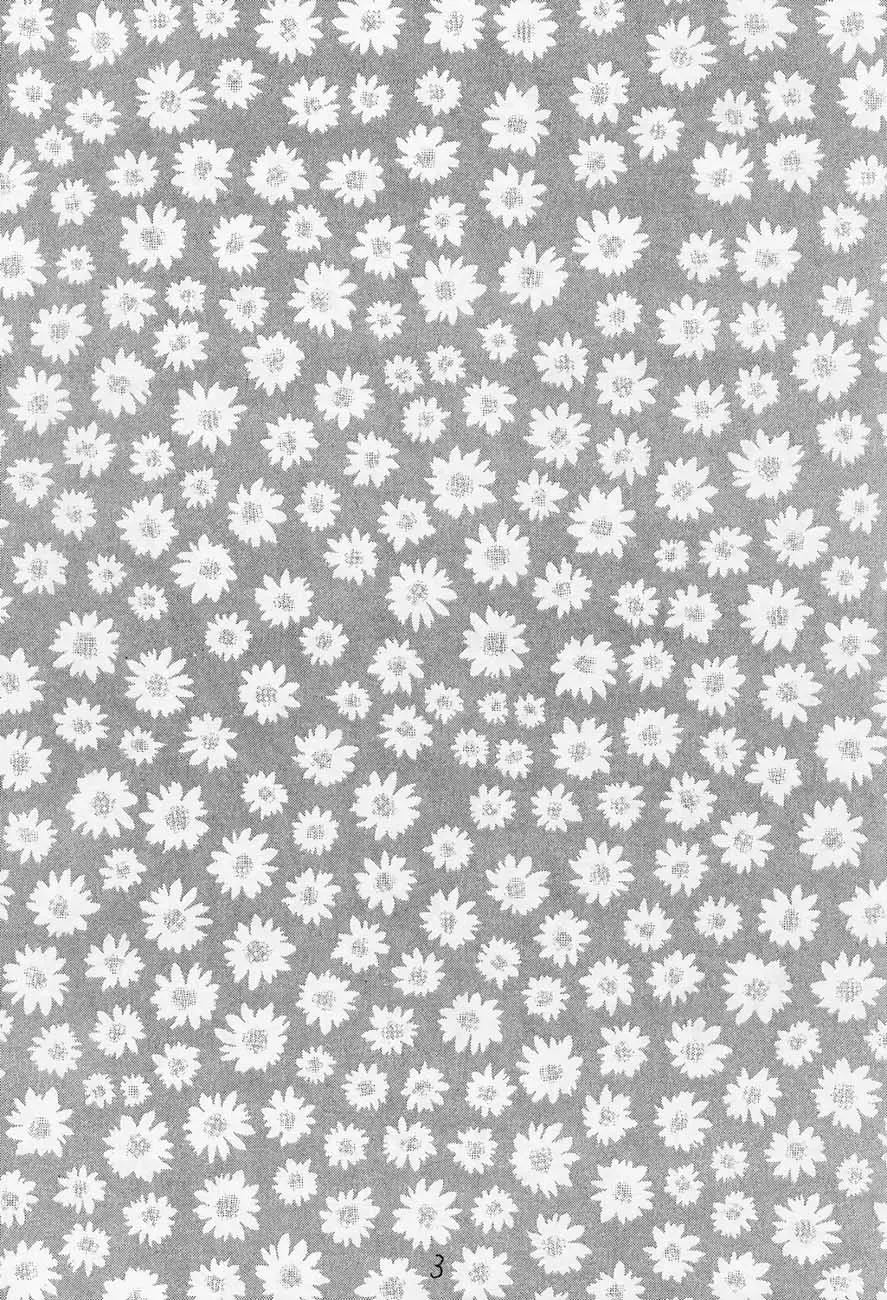 [Kobayashi Hiyoko] Cherry Girls Preparation Fhentai - Page 2