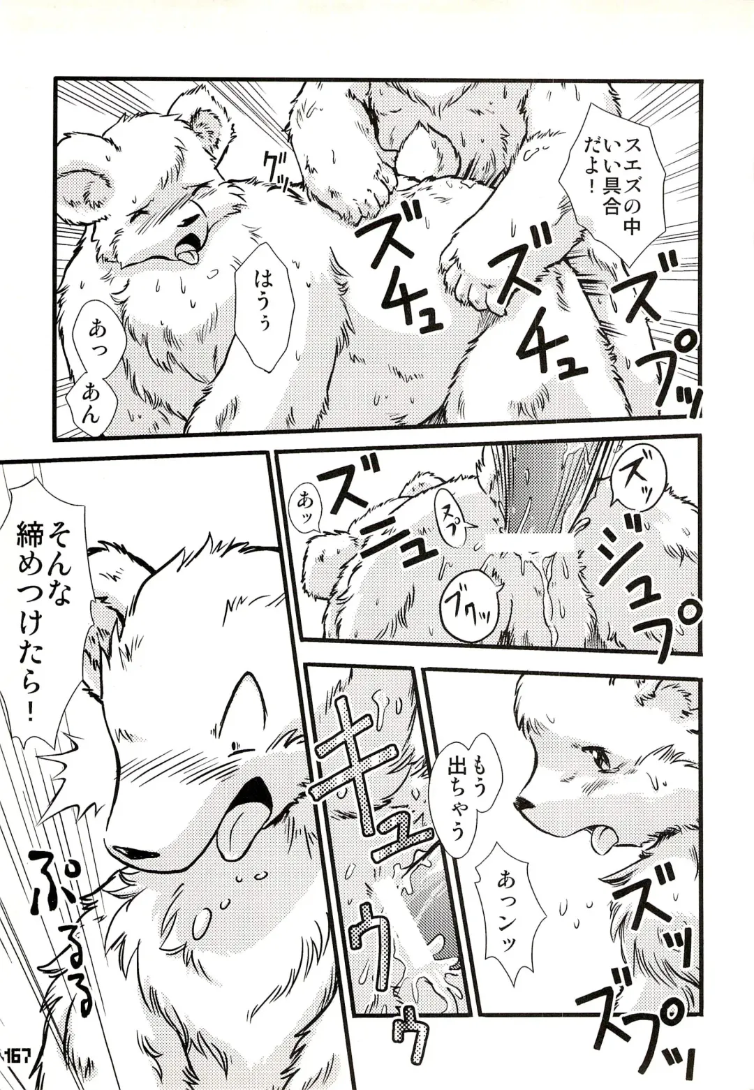Kuma Bon Ni -BURLY BEARS- Fhentai - Page 166