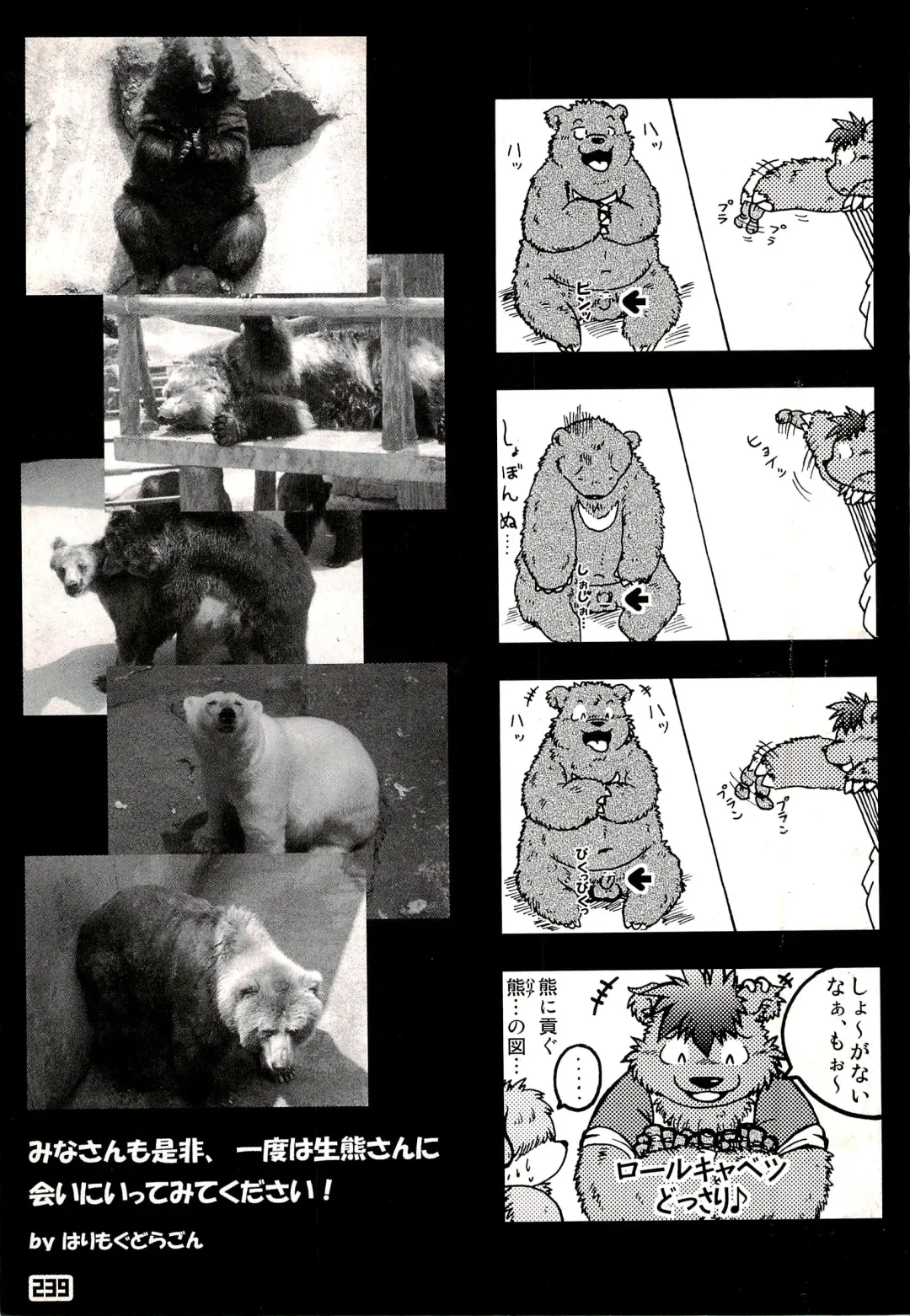 Kuma Bon Ni -BURLY BEARS- Fhentai - Page 236