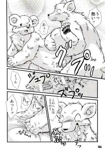 Kuma Bon Ni -BURLY BEARS- Fhentai - Page 165