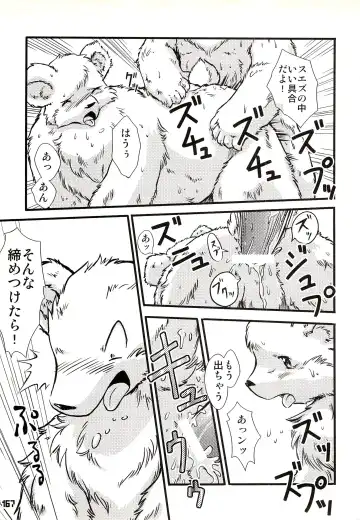 Kuma Bon Ni -BURLY BEARS- Fhentai - Page 166