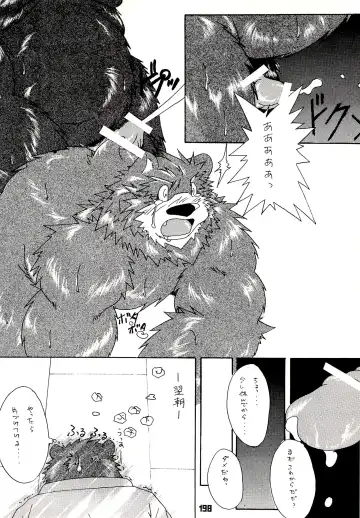 Kuma Bon Ni -BURLY BEARS- Fhentai - Page 195