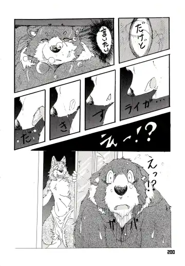 Kuma Bon Ni -BURLY BEARS- Fhentai - Page 197
