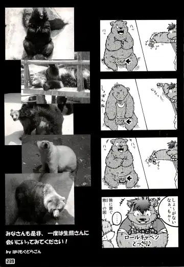 Kuma Bon Ni -BURLY BEARS- Fhentai - Page 236