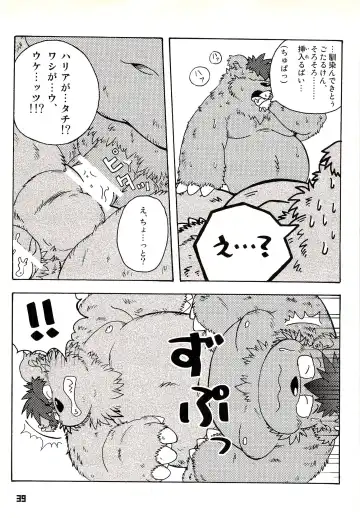 Kuma Bon Ni -BURLY BEARS- Fhentai - Page 38