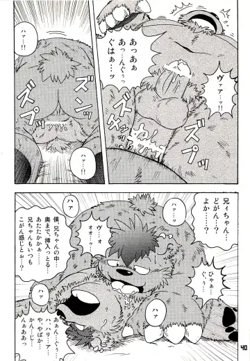 Kuma Bon Ni -BURLY BEARS- Fhentai - Page 39