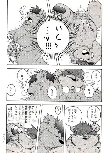Kuma Bon Ni -BURLY BEARS- Fhentai - Page 41