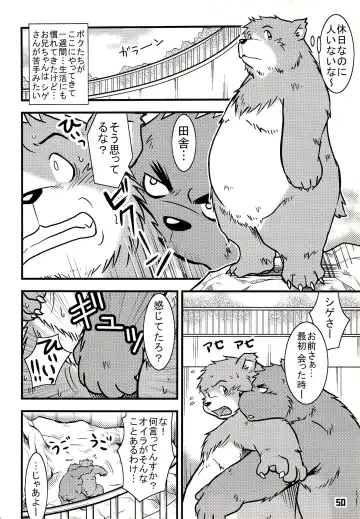 Kuma Bon Ni -BURLY BEARS- Fhentai - Page 49