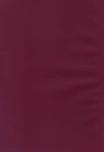 [Mei - Nikusyo] Yosuzume no Itazura Fhentai - Page 2