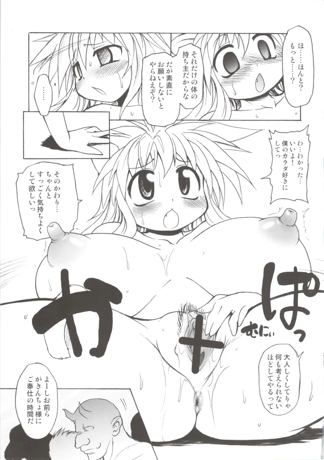 [Shimanto Youta] Nyan Sword Fhentai - Page 23