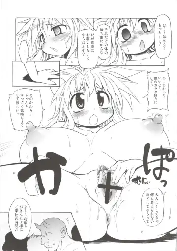 [Shimanto Youta] Nyan Sword Fhentai - Page 23
