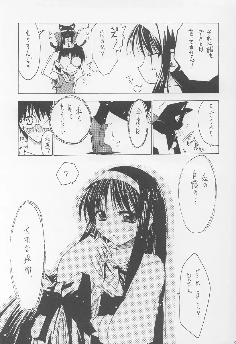 [Hisame Genta] Akiha Ryouran Fhentai - Page 32