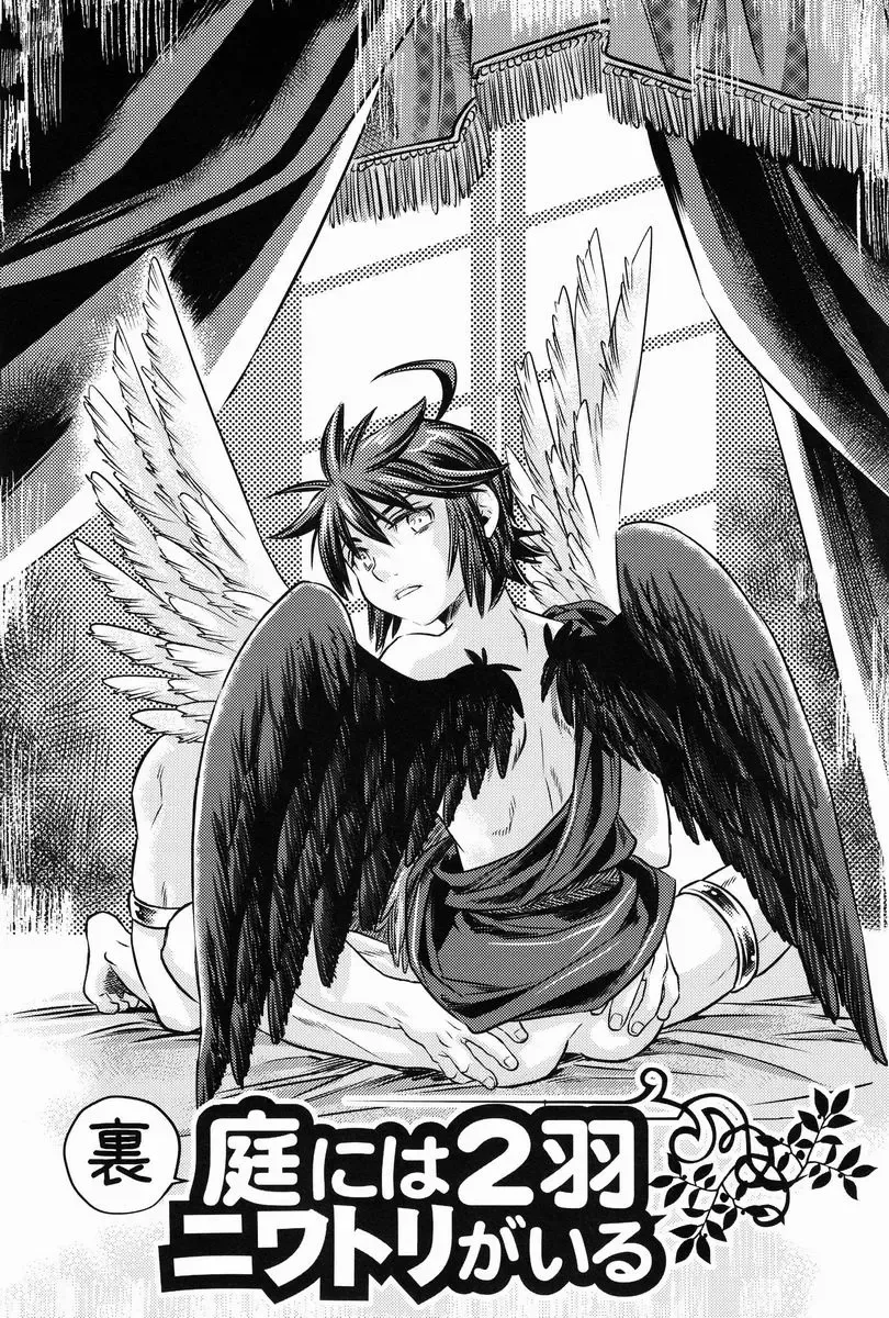 [Karasuma Pink] Niwa ni wa 2-wa Niwatori ga Iru Fhentai - Page 27