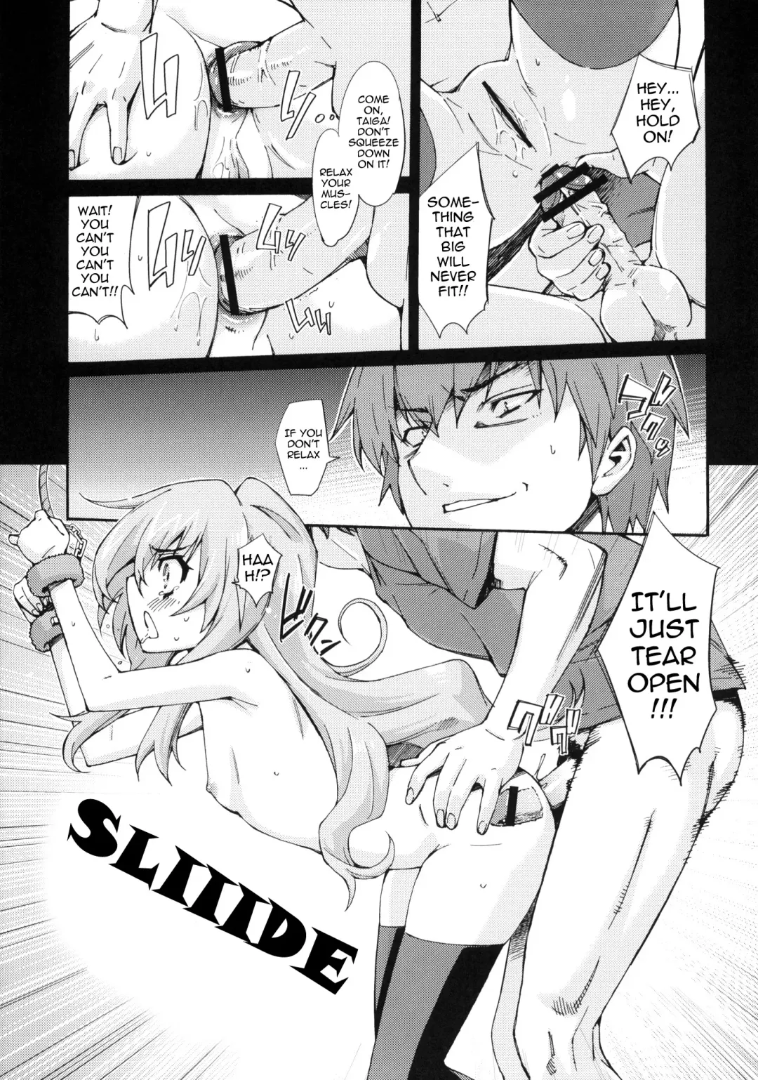 [Tehen] Taiga no Jouzu na Shitsukekata Fhentai - Page 14