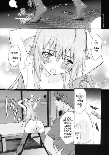 [Tehen] Taiga no Jouzu na Shitsukekata Fhentai - Page 12