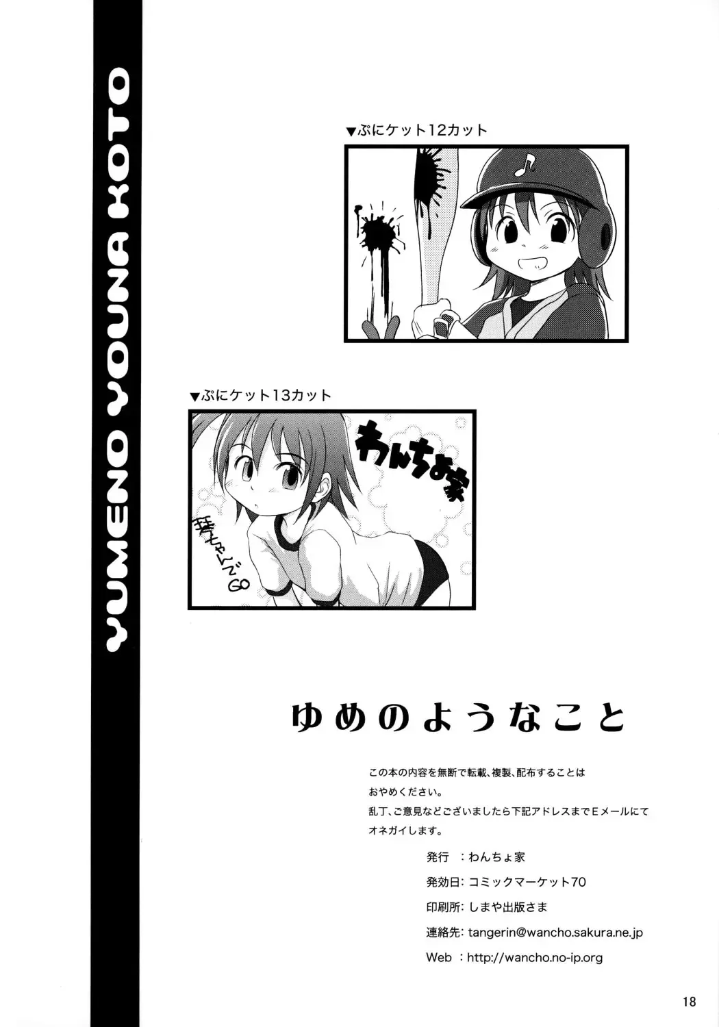 [Wancho] Yumeno Youna Koto Fhentai - Page 17