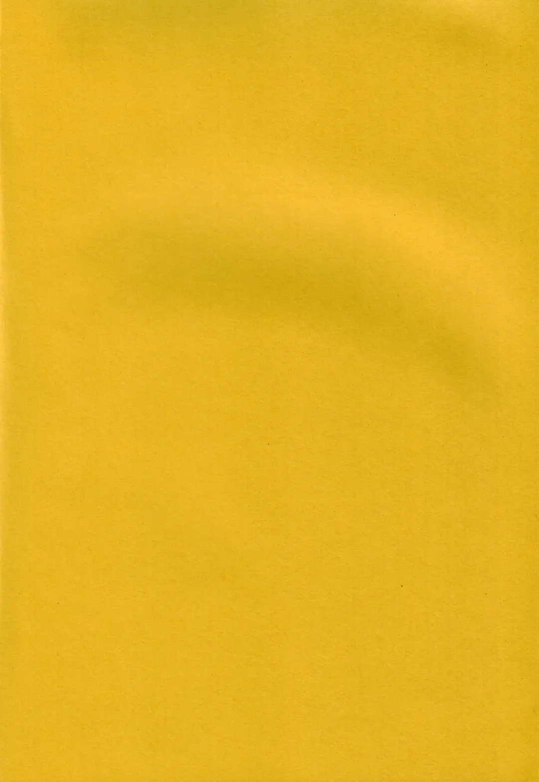 [Naohiro] SHINJI 04 - rei & asuka Fhentai - Page 3