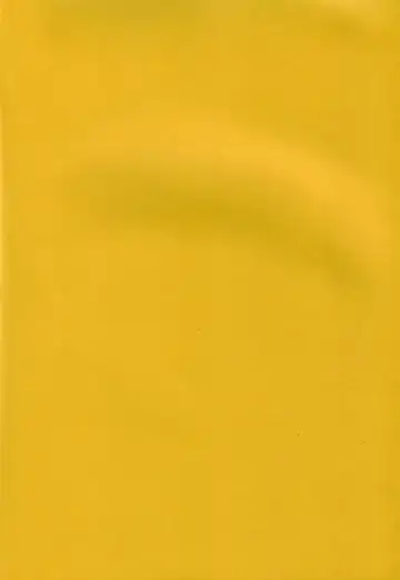 [Naohiro] SHINJI 04 - rei & asuka Fhentai - Page 3