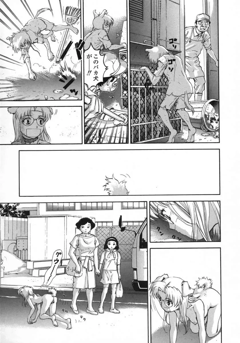 [Denjiro] Love Pet 1x1 Fhentai - Page 145