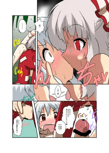 [Mikaduki Neko] Touhou TS monogatari  ~ mokou-hen ~ Fhentai - Page 16