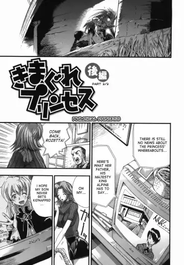 [Rakko] Kimagure Princess | Whimsical Princess Fhentai - Page 29