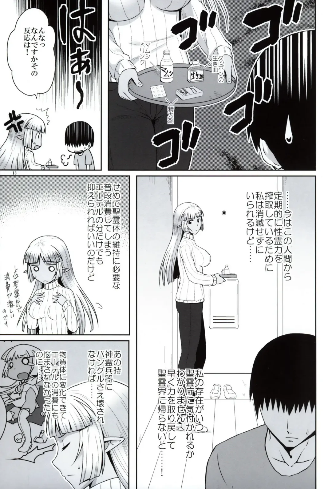 [Ono Misao] Seirei No Zokusyou Fhentai - Page 12