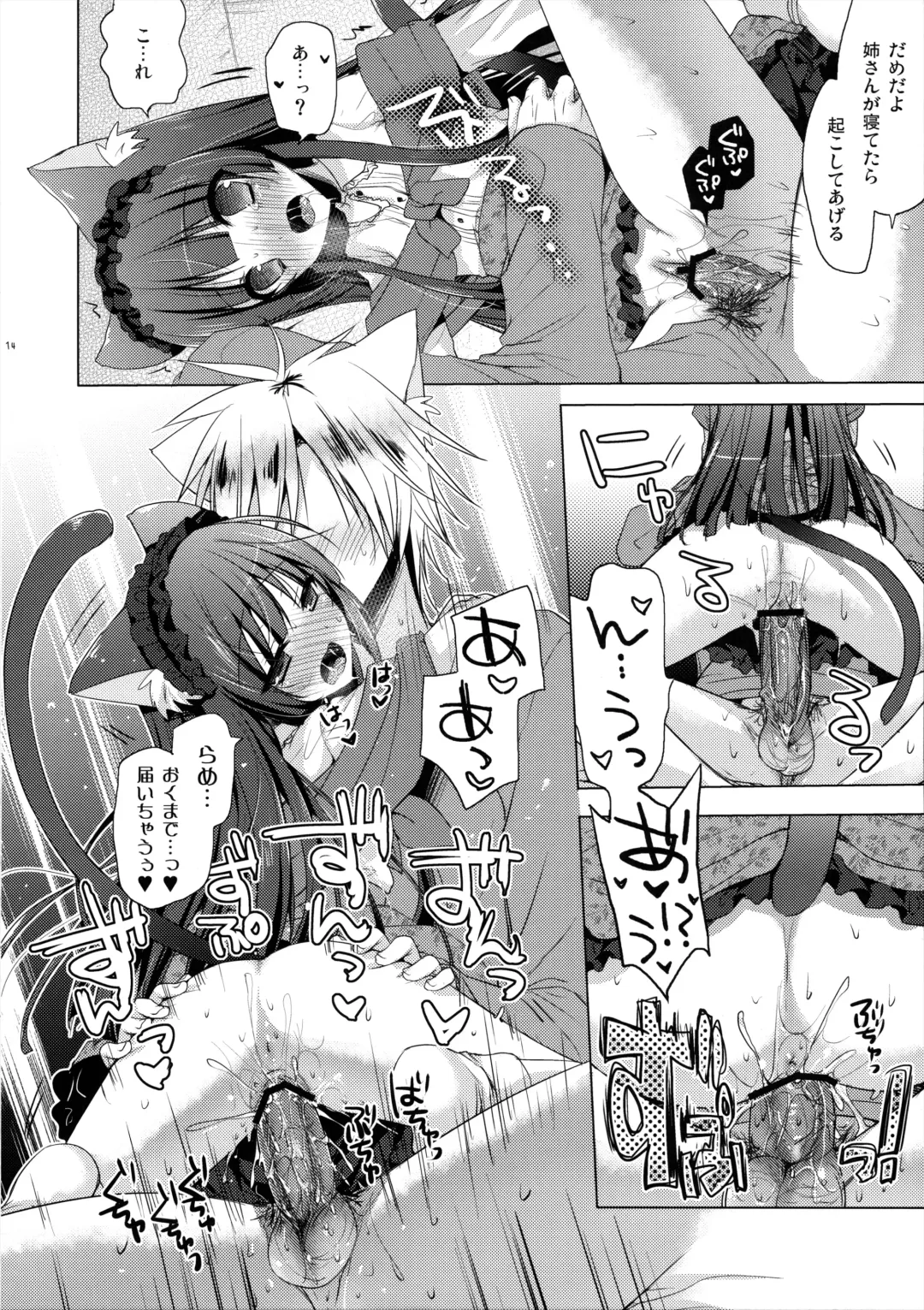 [Mitsu King] Nee-san wa, Chiisaku te, Dakisimetai Fhentai - Page 13