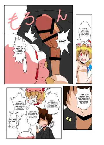 [Mikaduki Neko] Touhou TS Monogatari ~Flandre-hen~ Fhentai - Page 11