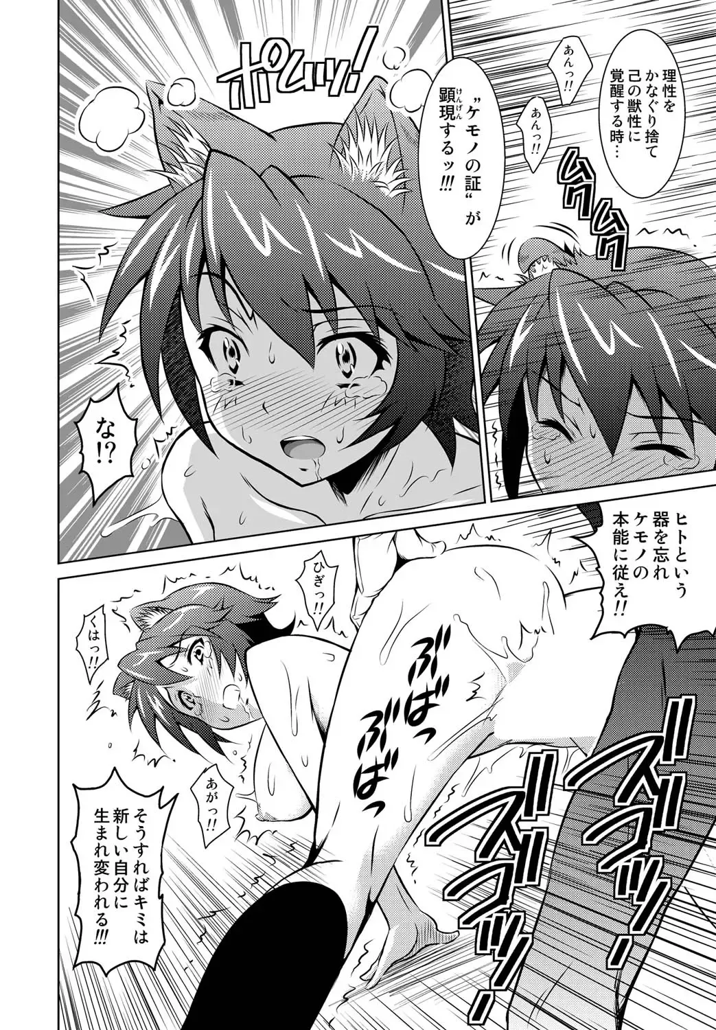 [Nobuki Chihiro] Kemomimimusume Fhentai - Page 13