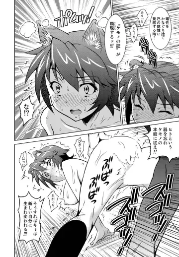 [Nobuki Chihiro] Kemomimimusume Fhentai - Page 13