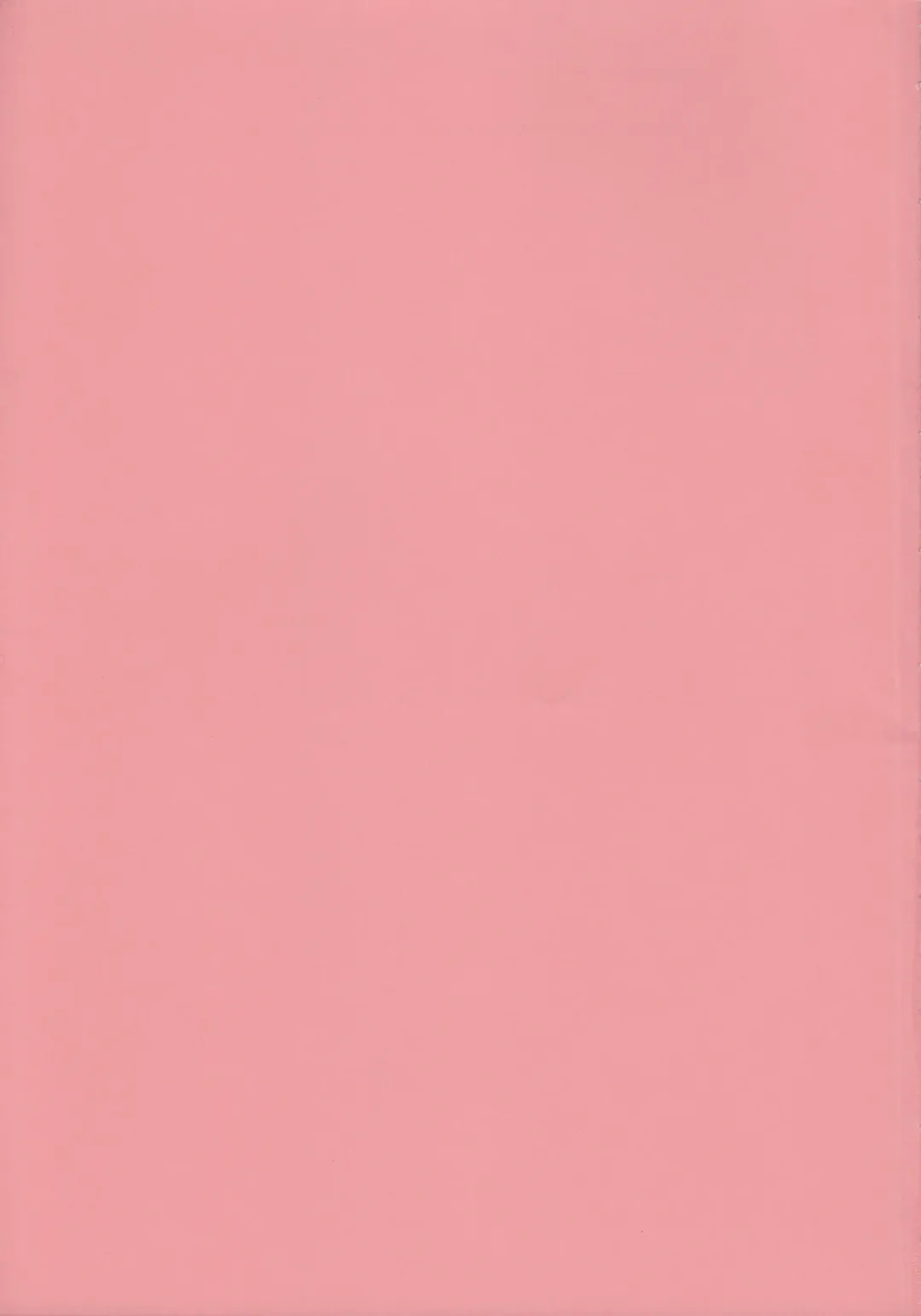 [Kobayashi Masakazu] PiyoAfu?M@STER Fhentai - Page 3