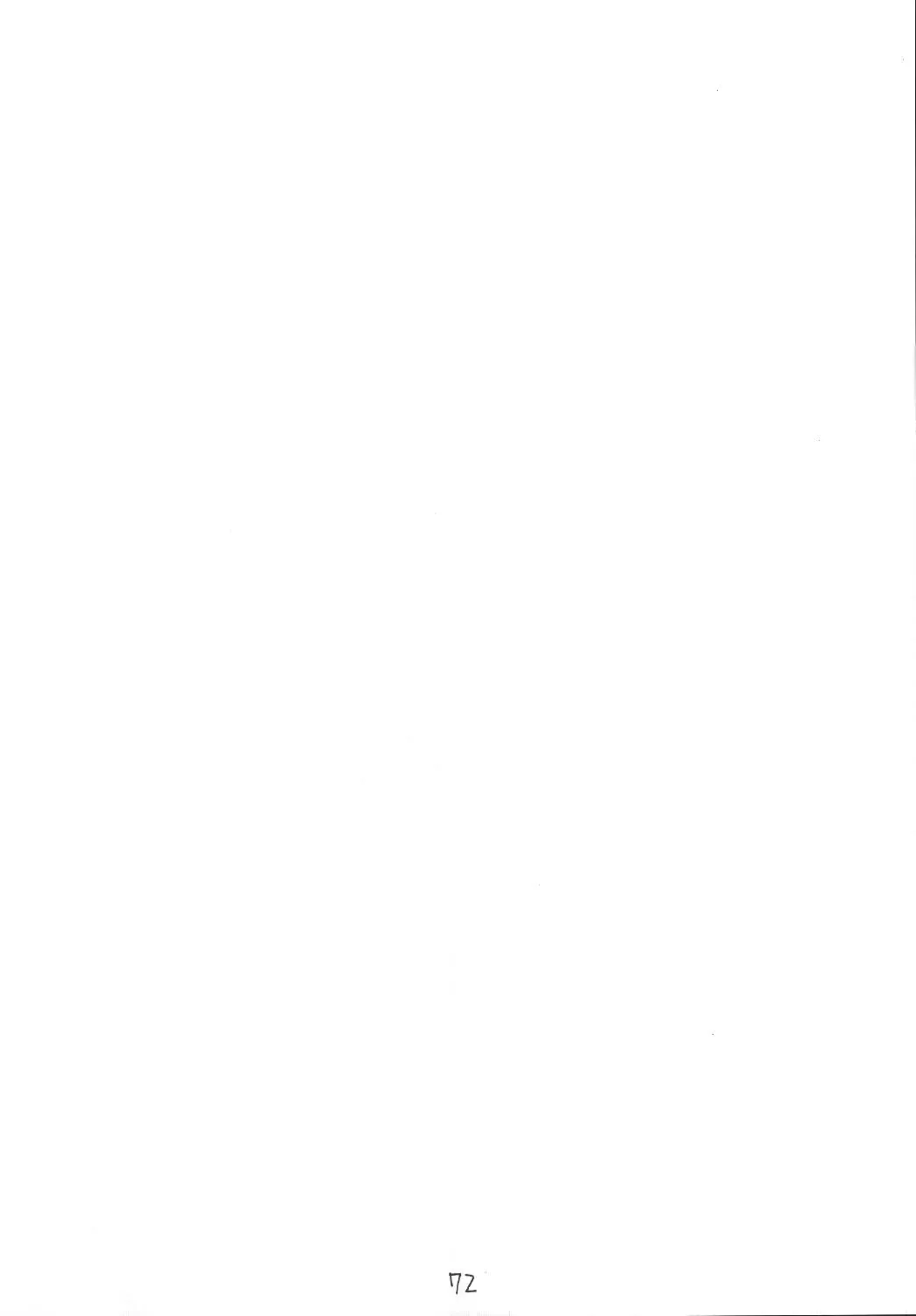 [Kittsu - P-chan - Pup] Materia Hunter Yuffie-chan no Daibouken Neo Universe Fhentai - Page 72