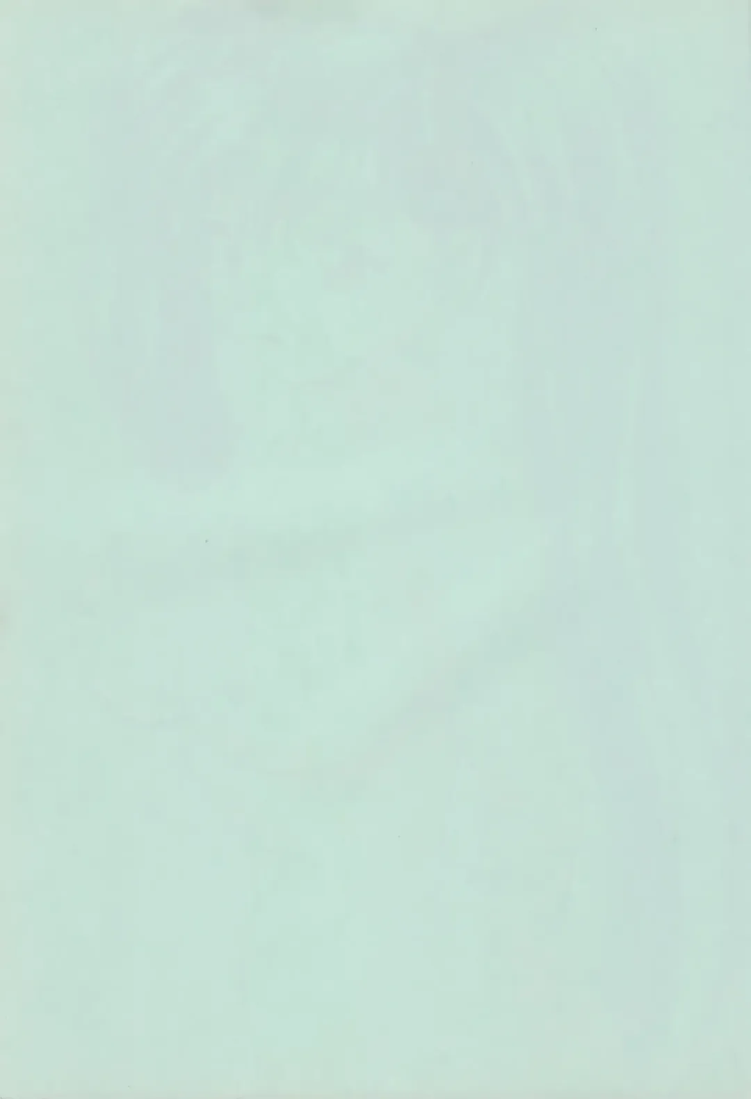 [B Village] Blood Carnival 6 Fhentai - Page 2