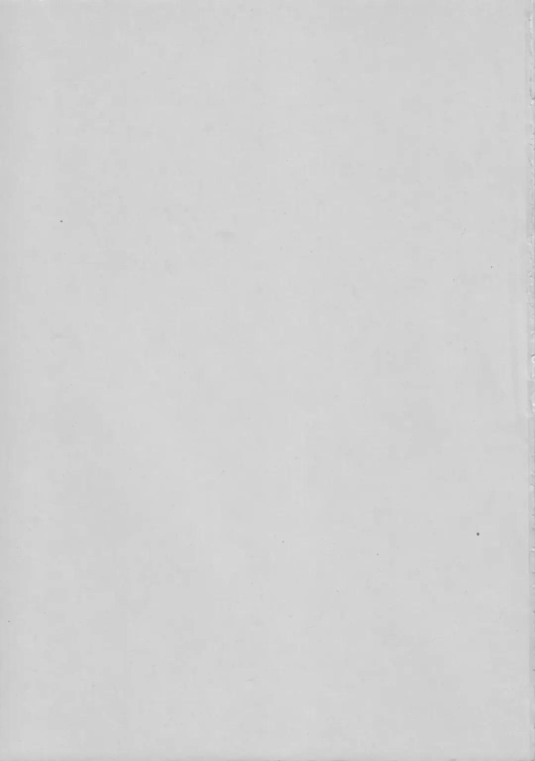 [B Village] Blood Carnival 6 Fhentai - Page 42