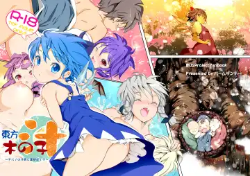 [Leli] Touhou Kinoko-jiru ~ Cirno no Kosodate Funtouki!? ~ Fhentai - Page 2