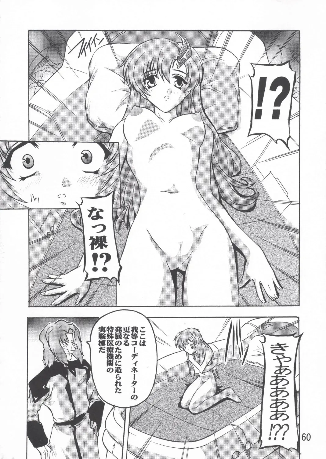 [Natsuka Q-ya] Lacus Soushuuhen Destiny Fhentai - Page 60