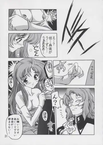 [Natsuka Q-ya] Lacus Soushuuhen Destiny Fhentai - Page 31