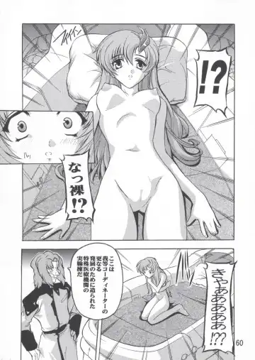 [Natsuka Q-ya] Lacus Soushuuhen Destiny Fhentai - Page 60