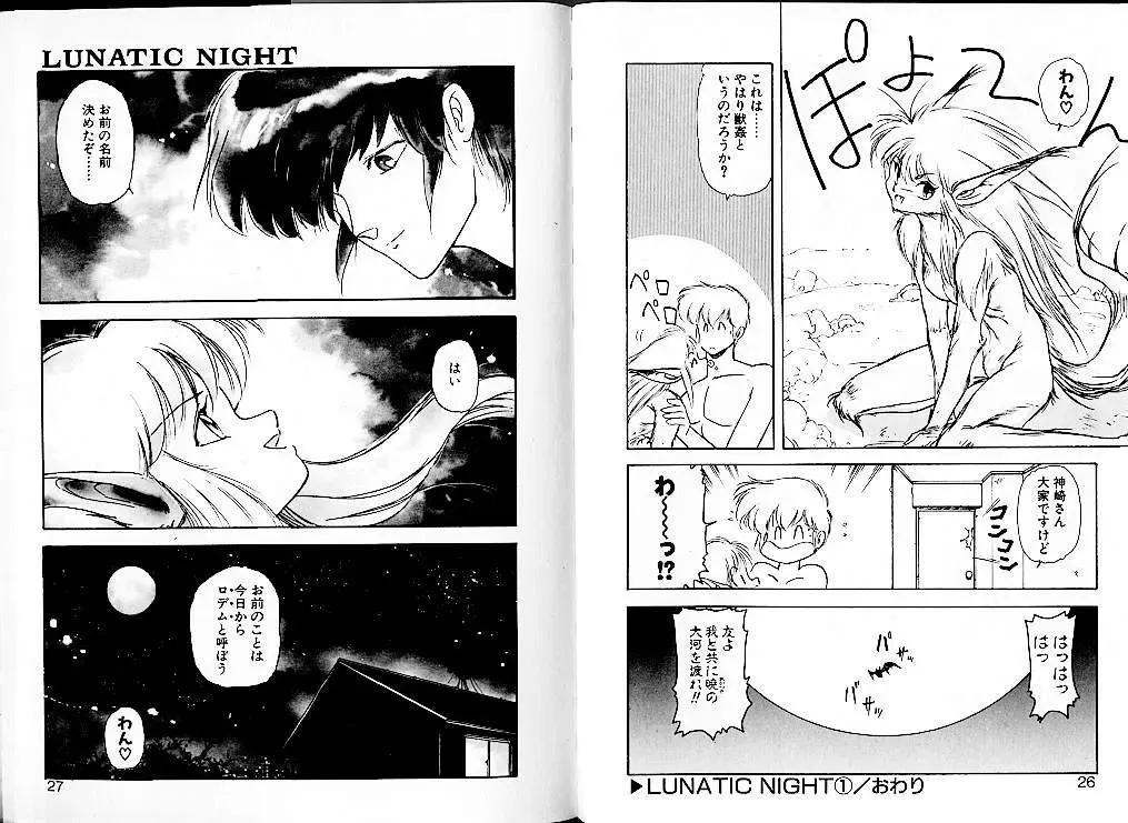 [Mii Akira] Lunatic Night 1 Fhentai - Page 17
