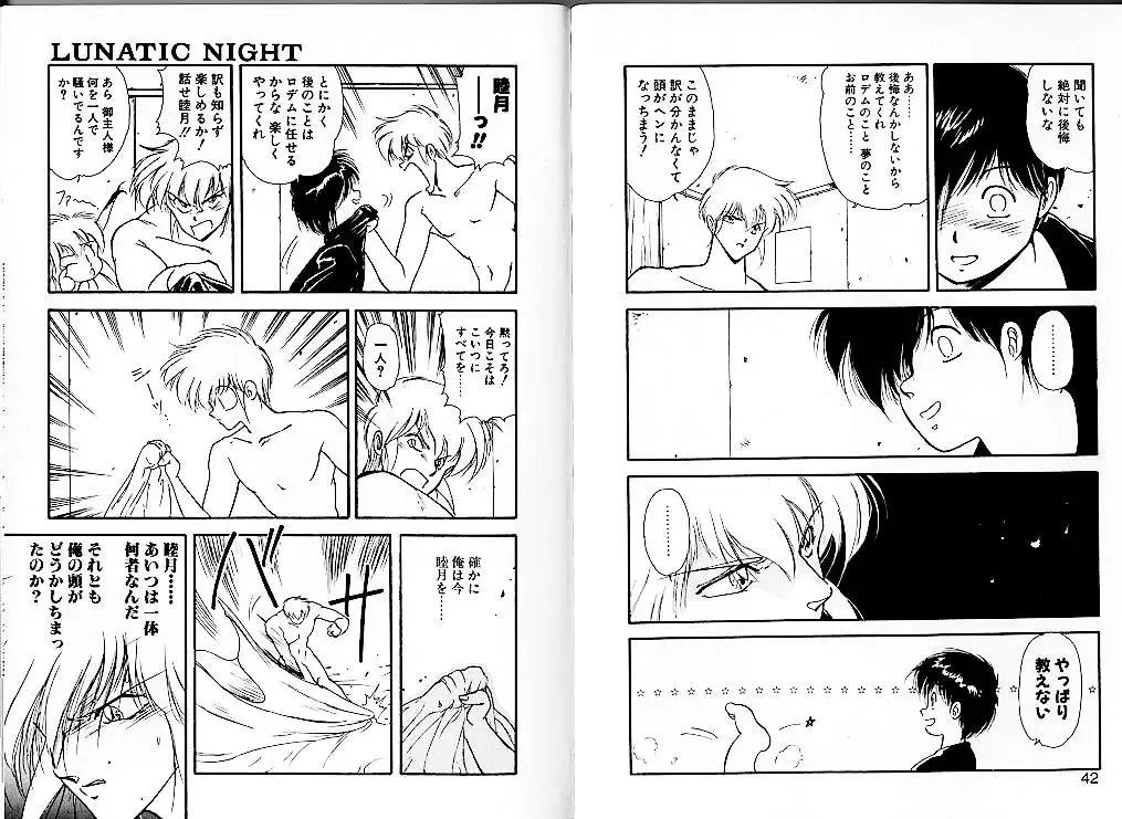 [Mii Akira] Lunatic Night 1 Fhentai - Page 25