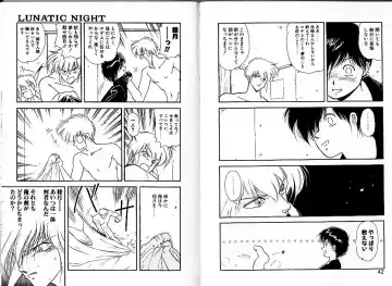 [Mii Akira] Lunatic Night 1 Fhentai - Page 25