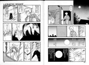 [Mii Akira] Lunatic Night 1 Fhentai - Page 31