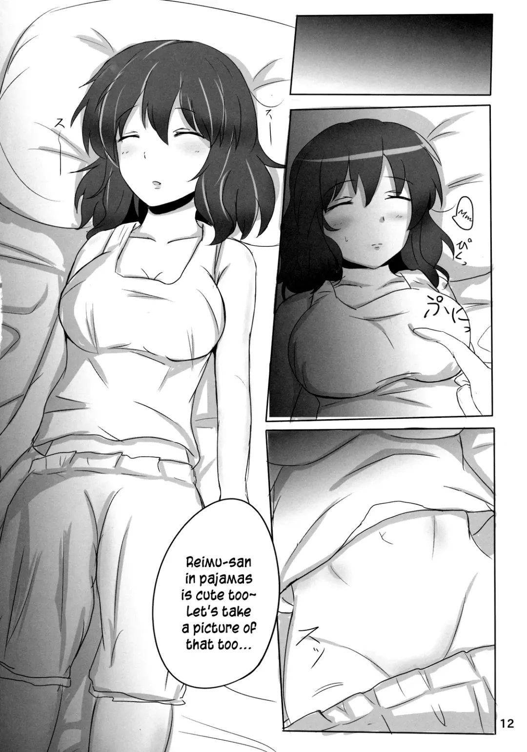 [Poshi] The Record of Reimu-san's Secret Photo-Shoot Fhentai - Page 12