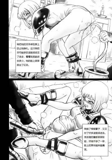 [Irie Yamazaki] CLAYMORE FILE | 克雷雅的试炼 Fhentai - Page 6