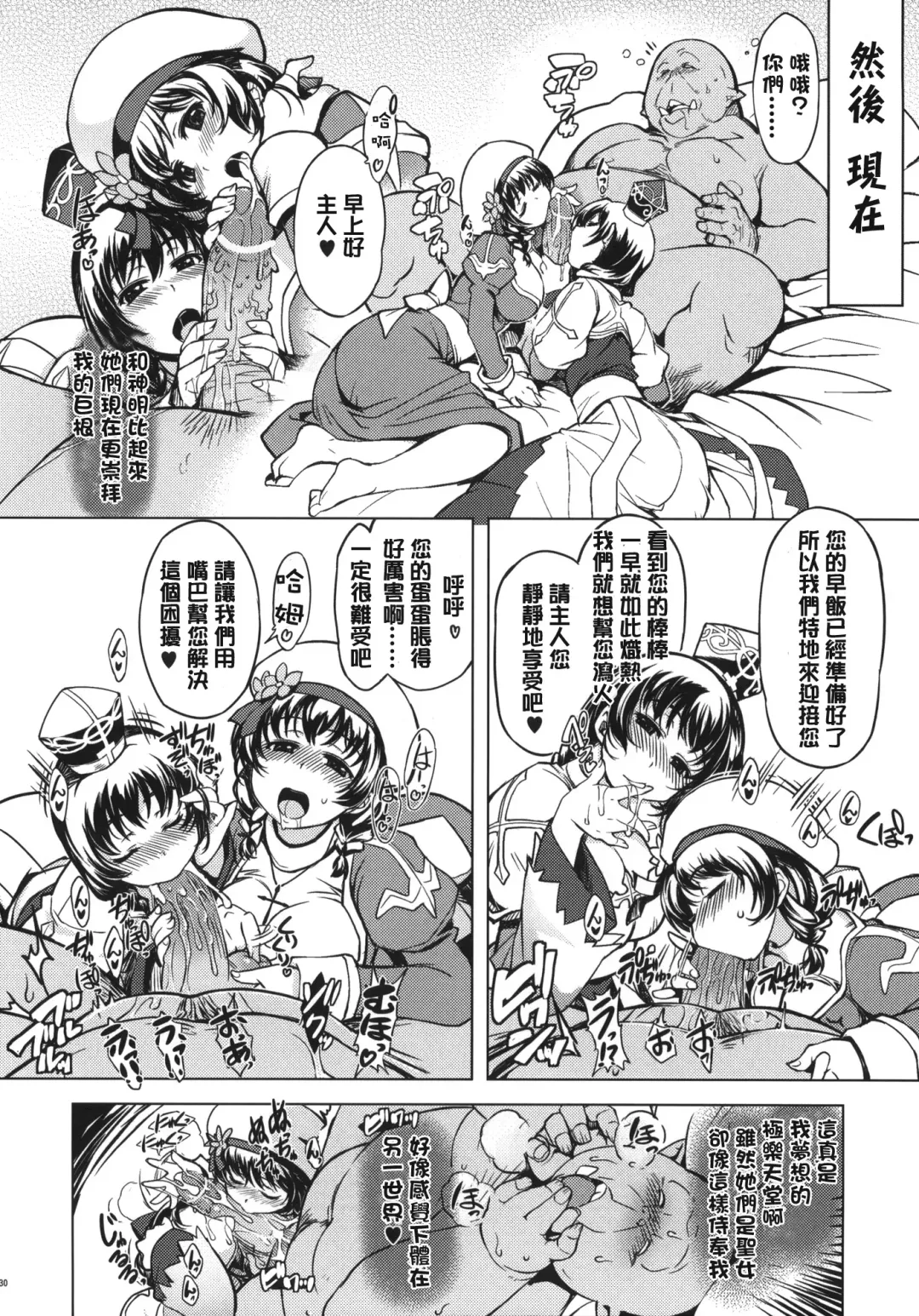 [Mil] Hime Kishi Tame 2 Fhentai - Page 29