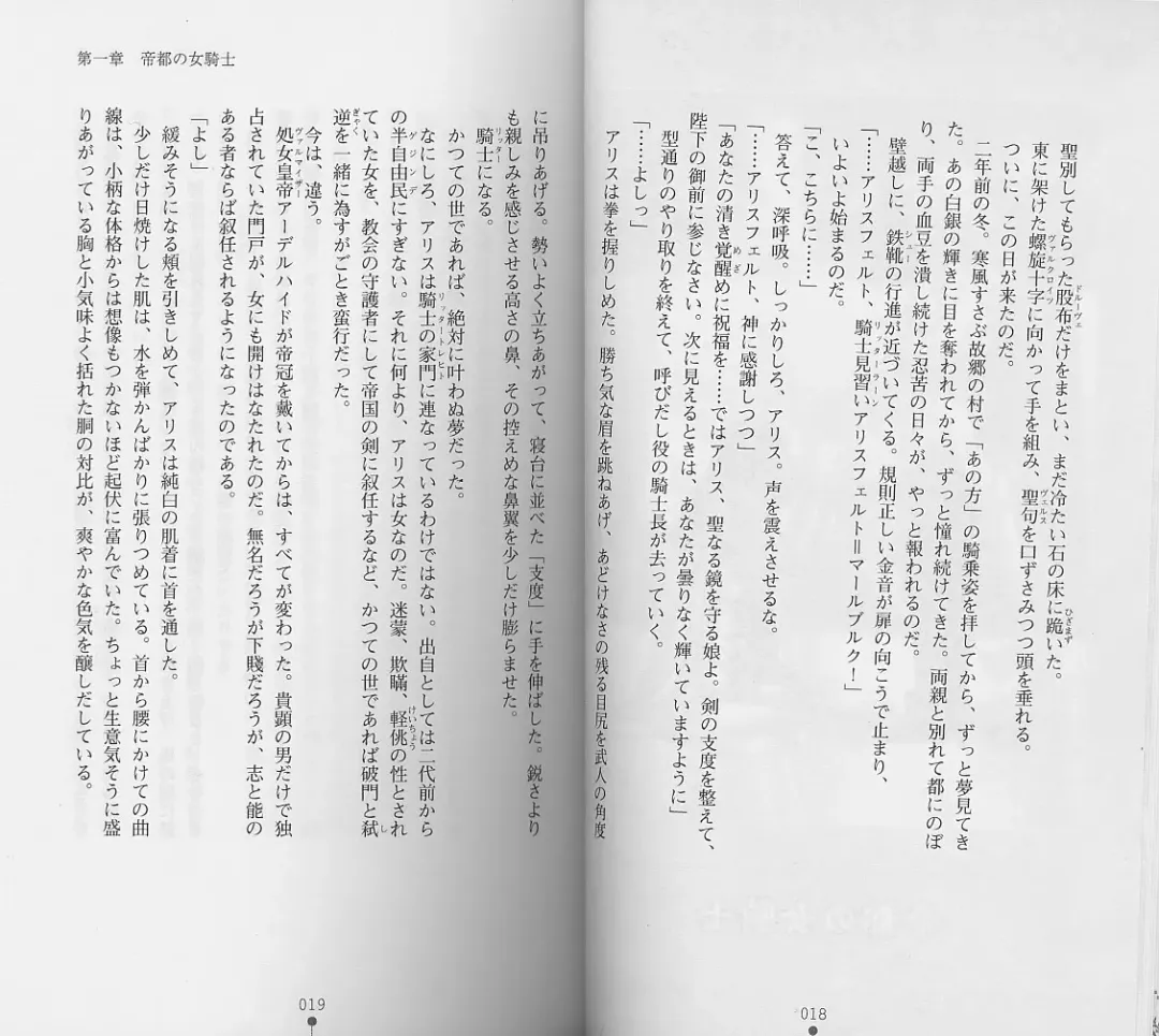 [Chiba Toshirou] Shiro no Rakuin I Fhentai - Page 11